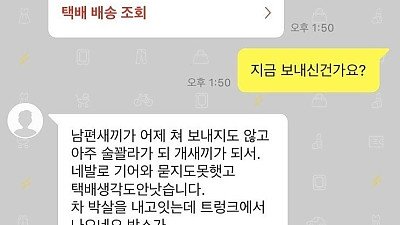 당근마켓 판매제품을 늦게 보낸 유부녀