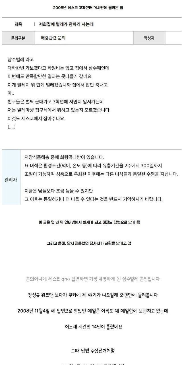 14년전 세스코 레전드 질문 삼수벌레 근황