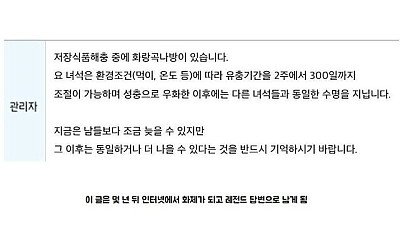 14년전 세스코 레전드 질문 삼수벌레 근황