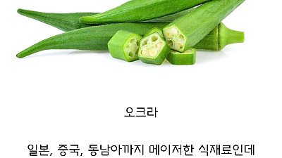 동아시아 중 한국만 안 먹는 채소