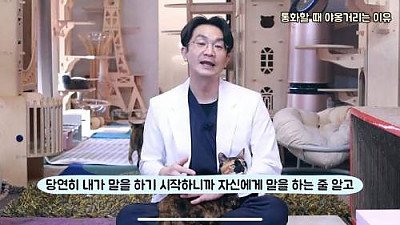 전화할 때 고양이가 옆에서 우는 이유....jpg