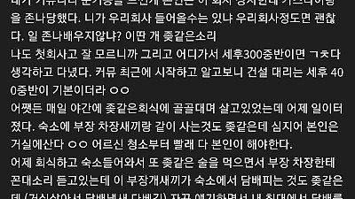 노가다 부장이랑 싸운 디시인