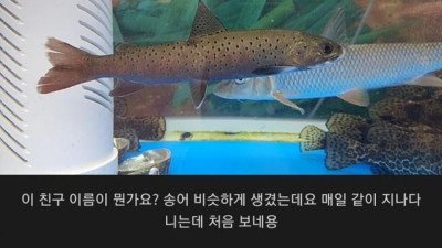 매운탕집 레전드