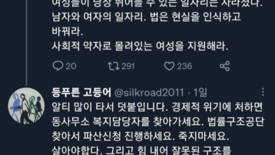 ????) 모녀 자살 사건에 대해서 분석하는 트윗러