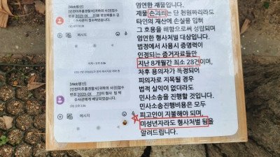 초등학생 협박하는 캣망구