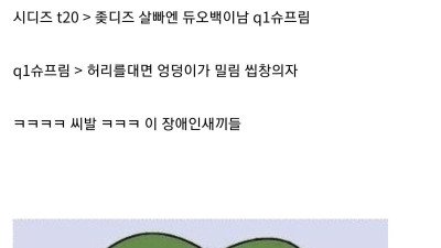 의자 정보 얻으려고 의갤에 들어갔던 사람