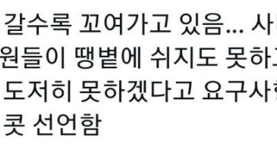 더더욱 꼬여가는 잼버리 (공무원 파견 대참사)