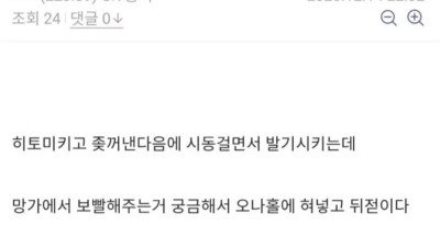 펑펑 울었다는 디시인