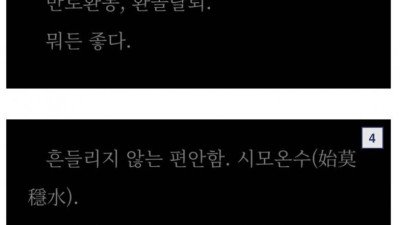 무협에 좀 진심인 작가