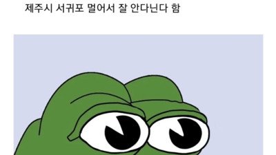 제주도 사람들 특징