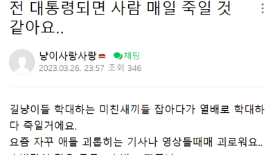 대통령 되면 사람을 매일 죽일거라는 캣맘